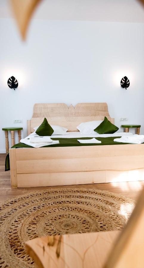 Conacul Olarilor Bed & Breakfast Baia de Fier Exterior photo